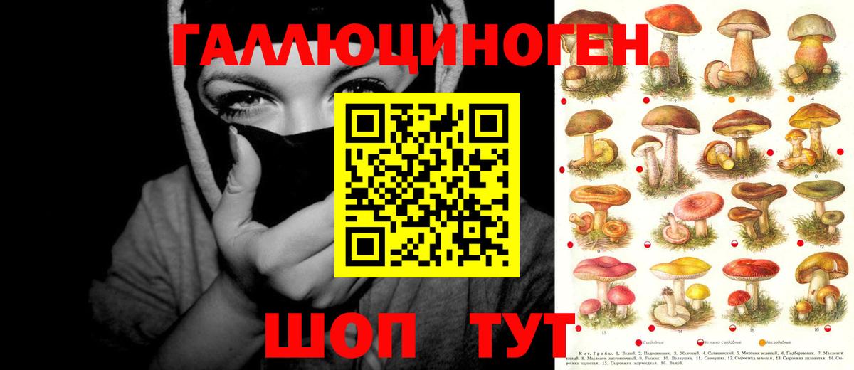 Михайловск  наркота  Вход с VPN  Псилоцибиновые грибы MAGIC MUSHROOMS 